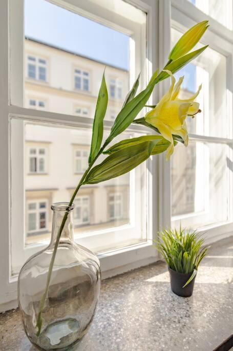 Royal Route Apartment Fully Equipped Cracovia Esterno foto